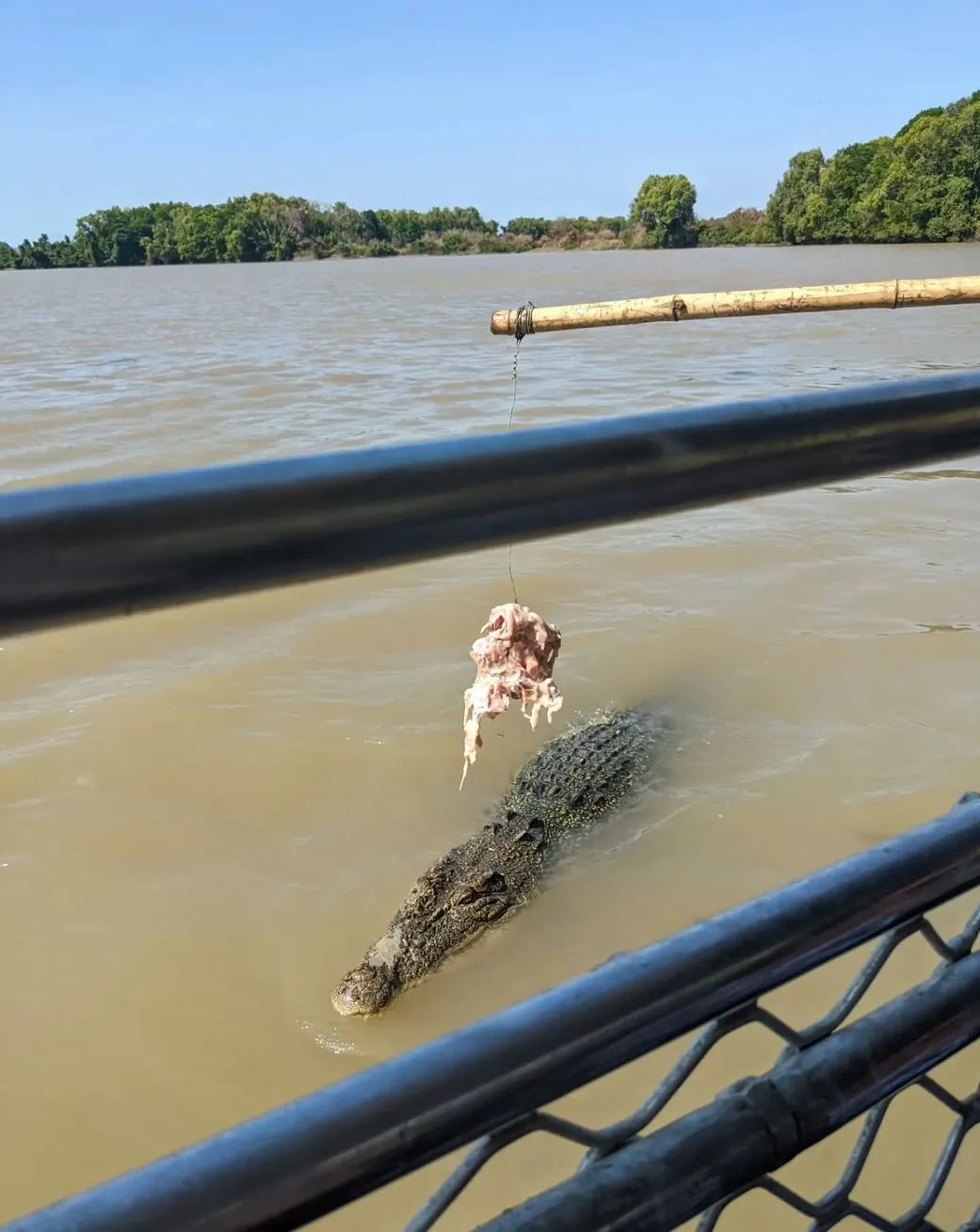 Which Is the Best-Value Combo: Croc Cruise with Litchfield, Fogg Dam, or Humpty Doo Pub Lunch?