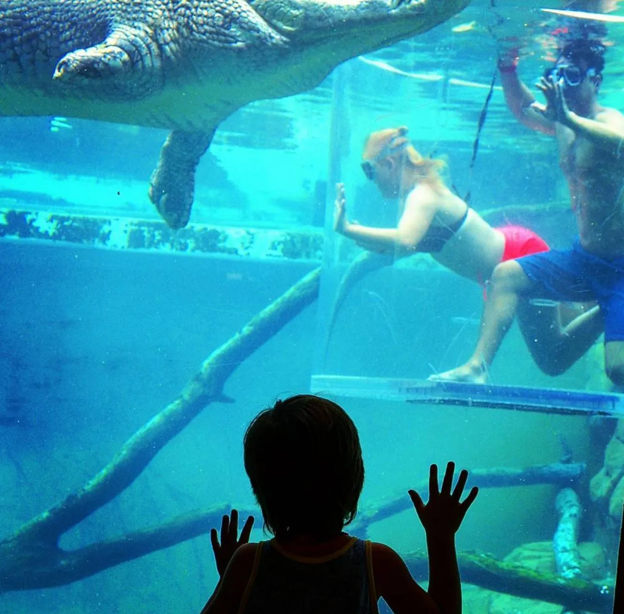 Crocosaurus Cove