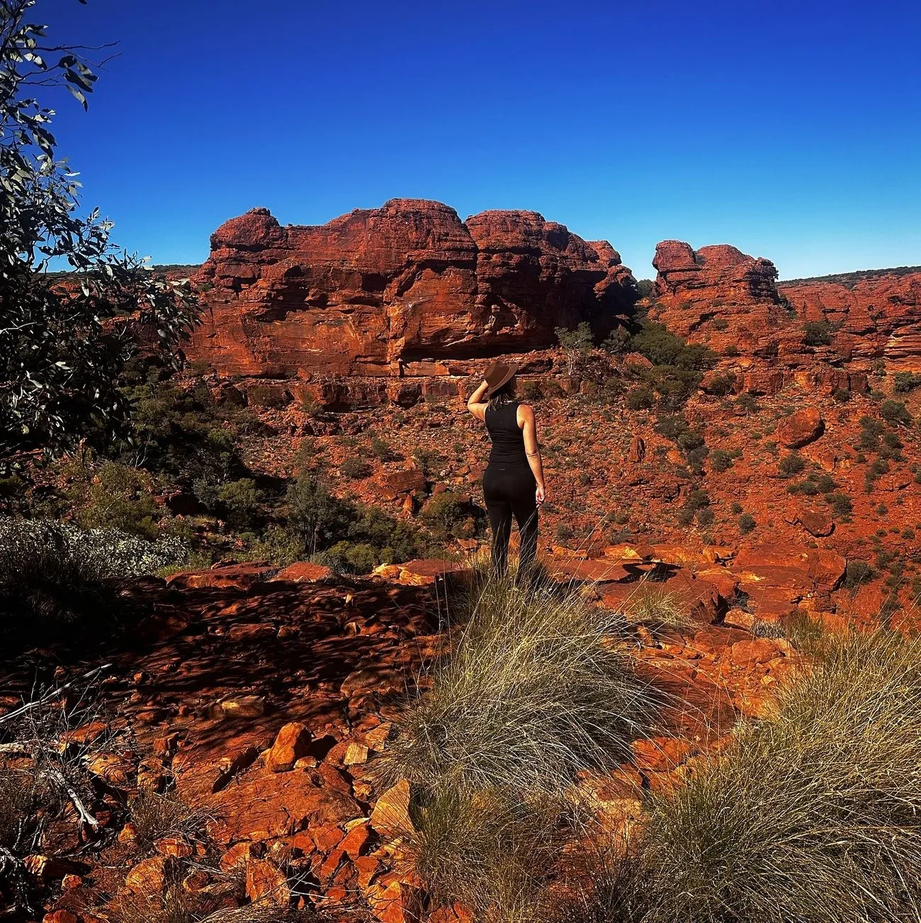 Cultural Significance, Kings Canyon