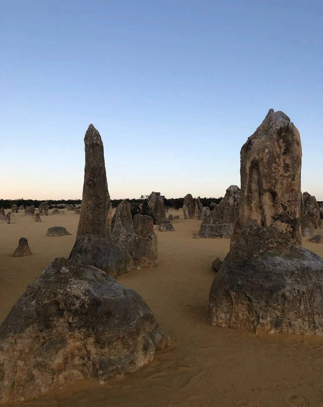 Perth Pinnacles Tour