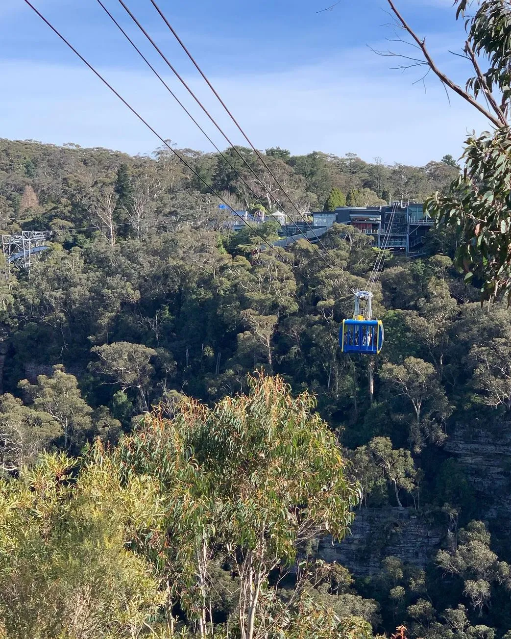 Scenic World