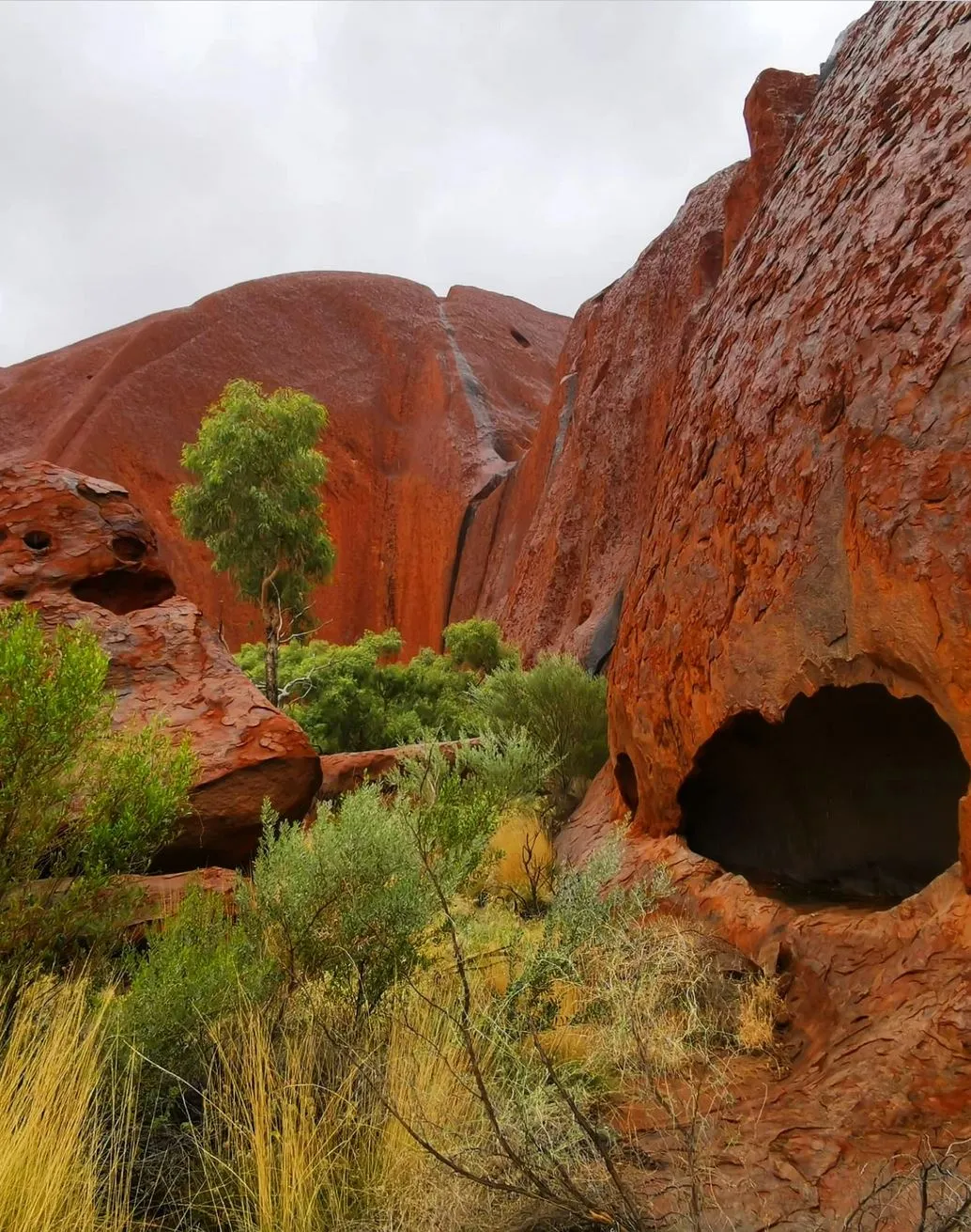 Uluru Tours