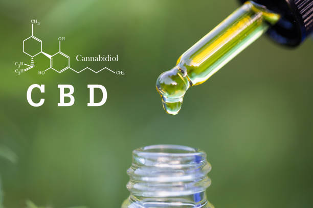 what are the b vitamins for
